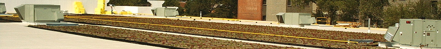 garden roofing 3