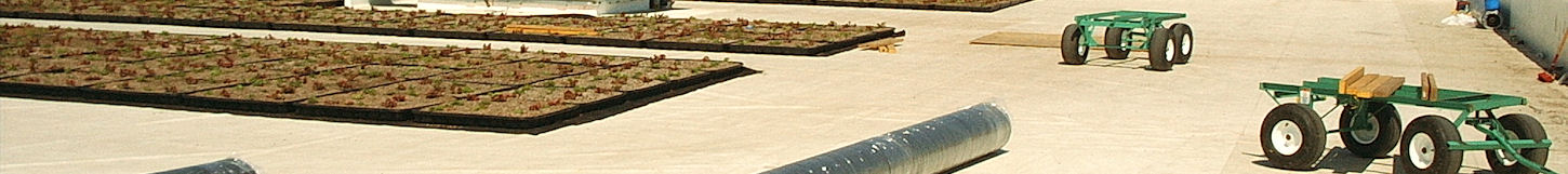 garden roofing 4