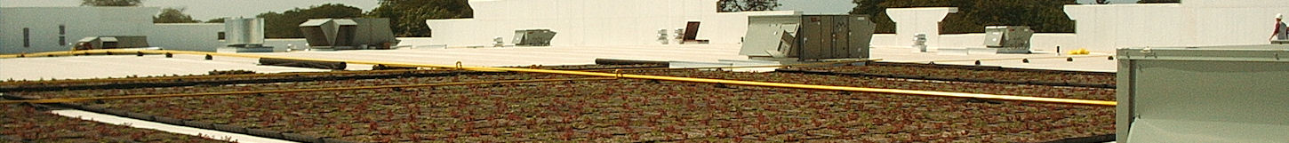 garden roofing 5