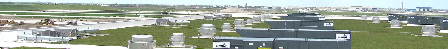 vegetative roofing 2