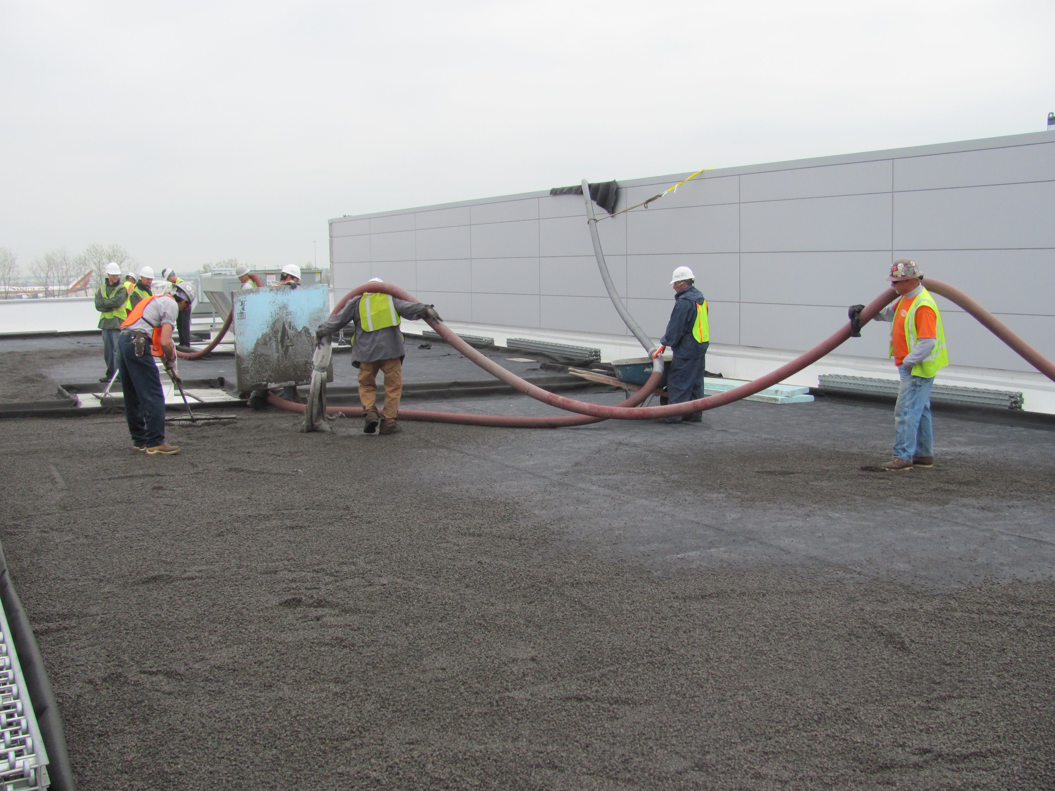 vegetative roofing 6
